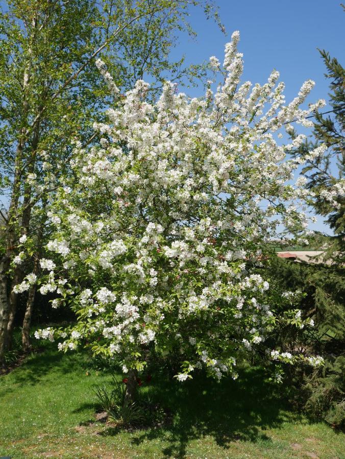 Opale Des Caps Bed & Breakfast Leubringhen Екстериор снимка